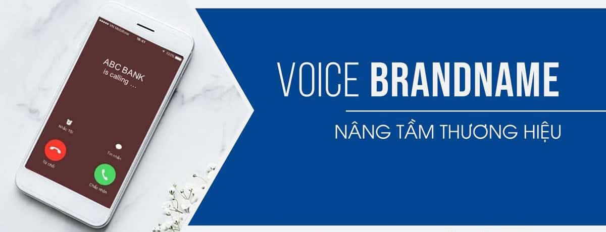 voice-brandname-bank